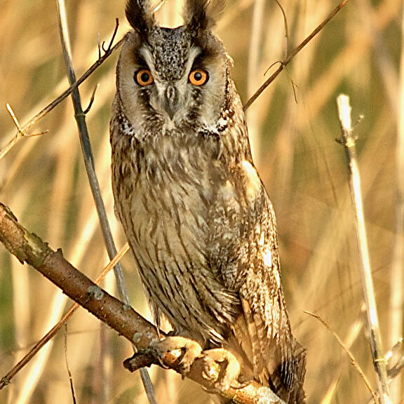 Natuur