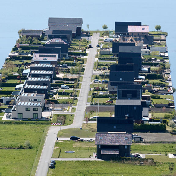 Grutto - Leeuwerik